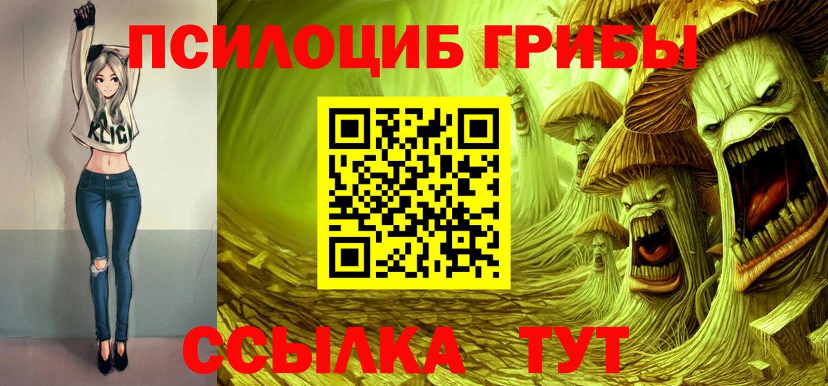 Псилоцибиновые грибы мицелий Кострома