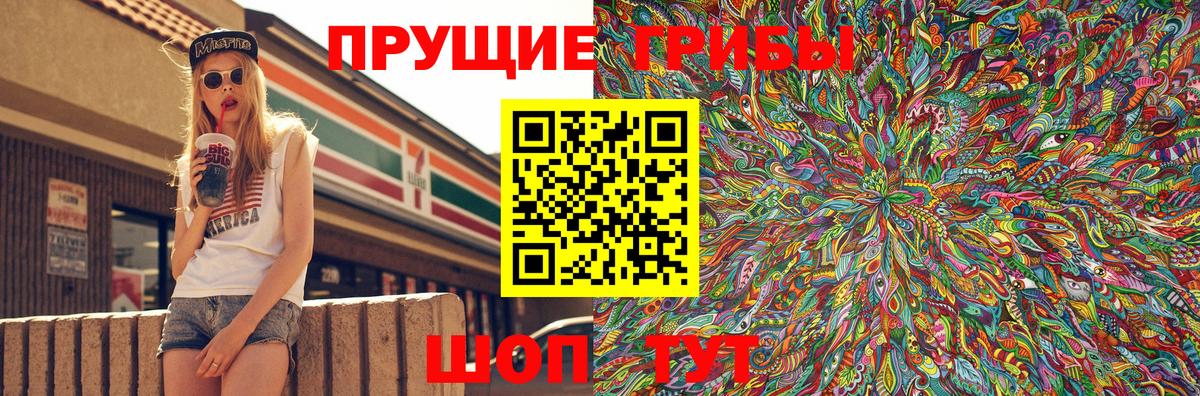 Псилоцибиновые грибы Psilocybe  Вход с VPN  Кострома  Псилоцибиновые грибы Psilocybe 